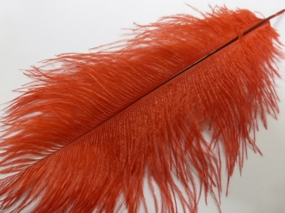 Ostrich Feather Large Red